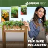 Strend Pro Zahradní záhon, 84x40x98 cm, dřevo, vyvýšený Náhled obrázku produktu 10