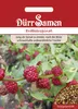 Dürr-Samen - Erdbeerspinat - Saatgut - 1913 Produktbild-Vorschau 1