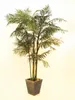 EUROPALMS Cycas cane palm, sztuczna roślina, 280 cm Podgląd zdjęcia produktu 2