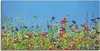 ARTland Leinwandbild Blumenwiese II Größe: 60x30 cm Produktbild-Vorschau 1