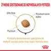 Royal Canin BHN Pomeranian Adult 1,5 kg Trockenfutter für Produktbild-Vorschau 4