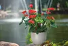KADAX Blumentopf "Rafat", runder Übertopf, Pflanztopf aus Produktbild-Vorschau 18