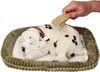 Perfect Petzzz 96279 Dalmatiner Produktbild-Vorschau 2