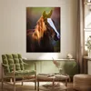 MuchoWow® Poster Pferd - Licht - Mantel 90x120 cm - Produktbild-Vorschau 4
