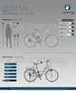 Licorne Bike Stella Premium City Bike 20,24,26 und 28 Zoll Produktbild-Vorschau 6