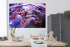 MuchoWow® Poster Ein Schwarm von Anemonenfischen im Wasser Produktbild-Vorschau 3