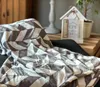 Heimtexland ® Kuscheldecke Super Soft Flanell Chevron Raute Produktbild-Vorschau 4