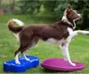 Disco di bilanciamento FitPAWS K9FITbone PVC blu cielo Anteprima dell’immagine prodotto 3
