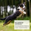 REAVET Hundeleckerli Getreidefrei I Känguru (100g) I Produktbild-Vorschau 4