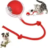 Katzenball Elektrisch - Interactief katten speelgoed met Productafbeelding-voorbeeld 1