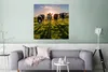 MuchoWow® Poster Kühe - Gras - Sonne 75x75 cm - Wand Produktbild-Vorschau 5