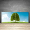 Küchenrückwand aus Glas 125x50cm Spritzschutz Gras Baum Produktbild-Vorschau 2