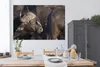 MuchoWow® Poster Vogel auf dem Kopf eines Büffels 180x120 Produktbild-Vorschau 3