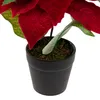 Betlémská hvězda Umělá sametová v květináči Poinsettia Náhled obrázku produktu 4