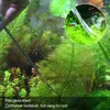 Aquarium Werkzeug Zubehör,Aquarium Schere,Aquarium Tools Produktbild-Vorschau 7
