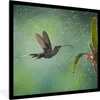 MuchoWow® MuchoWow® Gerahmtes Poster Kolibri im Regen auf Produktbild-Vorschau 1