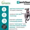 Vetoquinol Caniviton Forte Plus 90szt Podgląd zdjęcia produktu 4