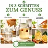 Wasserkefir Starter Set mit Japankristalle + Zubehör Produktbild-Vorschau 3