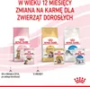 ROYAL CANIN FHN Kitten Sterilized Sauce 12x85g Produktbild-Vorschau 13