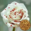 100 stück Schöne Weiße Tropfen Blut Rosen Samen Haus Garten Produktbild-Vorschau 1