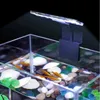 APT ZD80 Akvarijní osvětlení 5 W Náhled obrázku produktu 2
