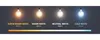 Spectrum LED E27 A60 Filament klar 7W Birnenform 230V 600lm Produktbild-Vorschau 4