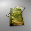 Bild auf Leinwand - Leinwandbild - Wald Baum Natur - Produktbild-Vorschau 2