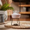 A pink wax burner with a white wax melt sits on a woven placemat, with a lit tea light candle underneath. A potted fern and a metal pitcher are visible in the background. Produktbild-Vorschau