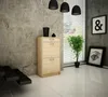 A modern entryway with a shoe cabinet, plant, and artwork. Náhľad obrázku produktu