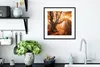 MuchoWow® Gerahmtes Poster Baum - Natur - Herbst 40x40 cm - Produktbild-Vorschau 4