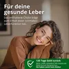 Leber Plus hochdosiert - 80% Silymarin, Mariendistel Produktbild-Vorschau 3