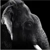 MuchoWow® Poster Tierprofil Elefant in Schwarz und Weiß Produktbild-Vorschau 1