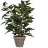 Umělá rostlina březový fíkus Ficus natasja Ø 30 H 40 cm Náhled obrázku produktu 5
