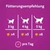 Whiskas Pounce & Play Katzensnacks im Portionsbeutel für Produktbild-Vorschau 5