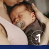 LOVI Smoczek silikonowy dynamiczny Botanic Boy 18 m+ 2 szt. Podgląd zdjęcia produktu 11