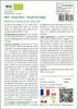 SAFLAX  -- Chou-fleur - Boule de neige - 70 graines - Voir les images du produit 3