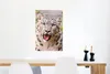 MuchoWow® Poster Schneeleopard - Zunge - Grau 40x60 cm - Produktbild-Vorschau 5