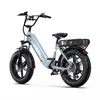 A light gray electric mountain bike with fat tires is shown from a three-quarter side view against a white background. Produktbild-Vorschau