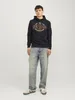 JACK & JONES JJELOGO, felpa con cappuccio, 2 colori, taglia Anteprima dell’immagine prodotto 4