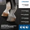 A close-up of a horse's hooves on a black textured surface, with marketing text and logos on the right side. Produktbild-Vorschau
