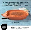RÖMERTOPF Kresse - Igel 112388 4043891901823 Produktbild-Vorschau 11