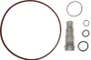 A collection of O-rings and a clear plastic component, likely a filter part, arranged on a white background. Anteprima dell’immagine prodotto