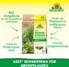 Neudorff  - Azet DüngeSticks für Grünpflanzen 40 Sticks Produktbild-Vorschau 2