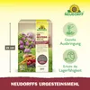 Neudorff UrgesteinsMehl - 2,5 kg für 25 m² erhöht Produktbild-Vorschau 3