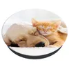 Popsockets 2 Cat & Dog 70082 Supporto per telefono e Anteprima dell’immagine prodotto 2
