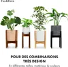 Fox & Fern Porte Plante Interieur, Support de Plantes en Voir les images du produit 7