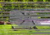 Grillabdeckhaube - wetterfestes und robustes Polyester - 90 Produktbild-Vorschau 3