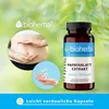 Bioherba Papayablatt Extrakt 250 mg 100 Kapseln Produktbild-Vorschau 7