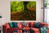 MuchoWow® Poster Baum - Wald - Herbstblätter 160x120 cm - Produktbild-Vorschau 2