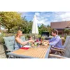 Grill & BBQ Reiniger 0,46 l Produktbild-Vorschau 2
